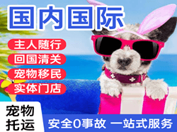 宁波航空快递国际宠物托运 【国
